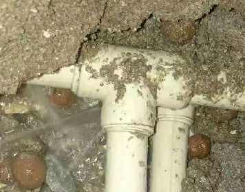 乐东测漏水多少钱