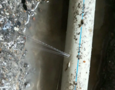 乐东测漏水哪家好