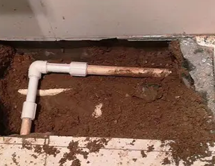 乐东测漏水哪家好