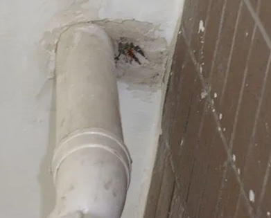 乐东漏水检测哪家好