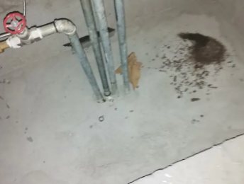 乐东卫生间测漏水价格明细